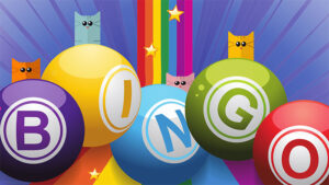 Come funziona il bingo online